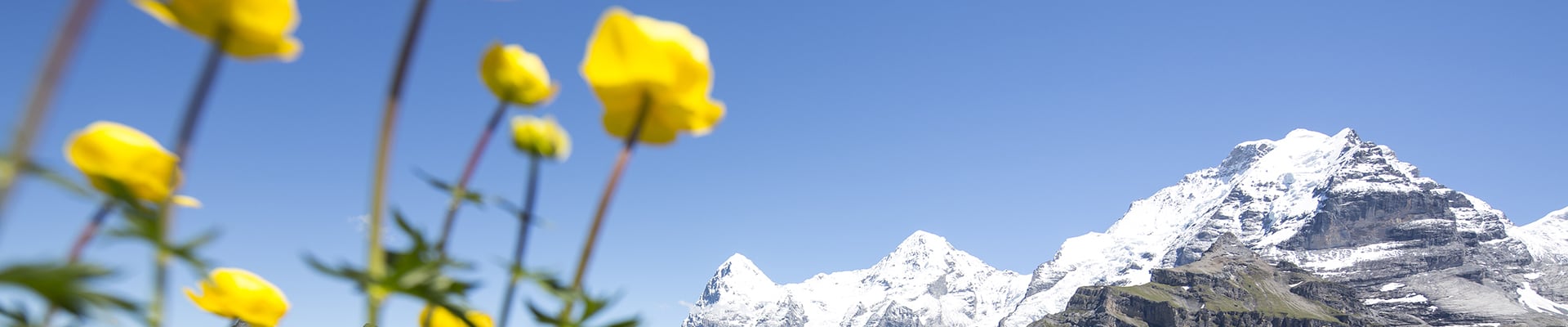 Ferienwohnungen Mürren
